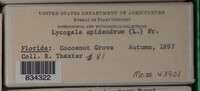 Image Associated With the Occurence